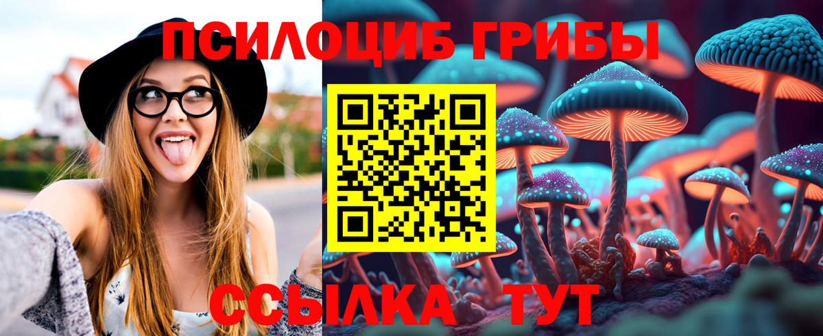 Галлюциногенные грибы Cubensis  Вход с VPN  Псилоцибиновые грибы мицелий  Азов 